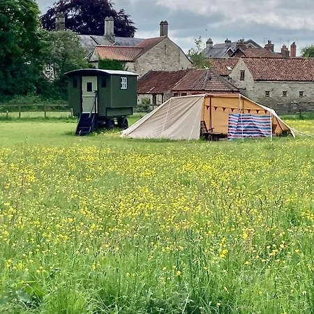 Shepherds Hut, Centre, Glamping Hidden Meadow *