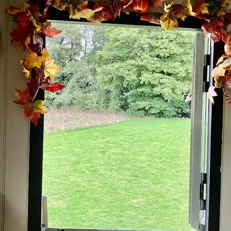 مكان تخييم Shepherds Hut, Centre, Glamping Hidden Meadow *