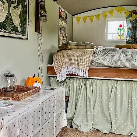 Shepherds Hut, Centre, Glamping Hidden Meadow مكان تخييم